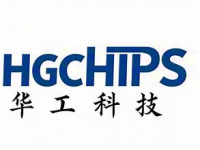 hgchips